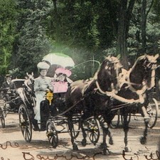 c1900s Paris France Postcard Bois de Boulogne Allee des Acacias Horse Carriage picture