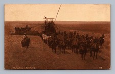 Antique California Postcard Harvesting with Mules Farm Scene 1912 picture