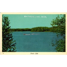 Vintage Whitmore Lake Michigan Scenic Lake Linen Postcard Curt Teich 4DK-1843 picture
