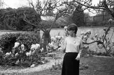Jeanne Moreau in her garden at her home in Paris in April 1963 Old Photo 6 picture