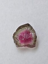 Natural Gemmy Tri Color Watermelon Tourmaline Slice -Afghanistan- 1.5 Ct picture