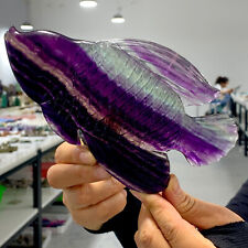 383G Natural and Beautiful Colors Fluorite Crystal Carved Fish Sculpture picture