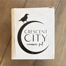 FairyLoot Crescent City Ceramic Pot Collectible  picture