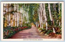 1930's GREETINGS FROM MALVERN ARKANSAS WOODS VINTAGE CURT TEICH LINEN POSTCARD picture