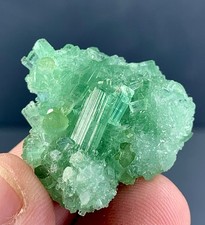 Tourmaline Crystal Bunch From Afghanistan 59 Carat picture