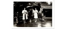 Japan Photo: Kyoto Moss Temple Women in Rain Garden View - 1960s Landscape picture