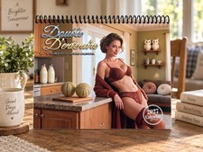 Something Lovely Double D’entendre 2027 Lingerie Pinup Wall Calendar SLVLY picture