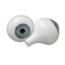 Life Size Adult Human FULL ROUND EYEBALLS w/STEM Body Parts Props Doll Eyes-BLUE picture