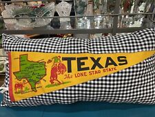 Vintage Texas Lone Star State Travel Pennant Pillow picture