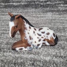 Sherry Clayton Signed 2003 Lying Foal Appaloosa Horse Hand Painted OOAK picture