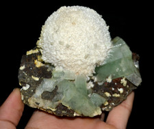 apophyllite green mesolite Mineral Specimen – India #1931 picture