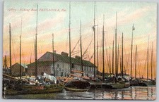 Postcard FL Pensacola Florida Fishing Boats Marina Harbor ca1910s C155 picture