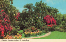 St Petersburg Florida, Sunken Gardens, Bougainvillea Flowers Palms, VTG Postcard picture