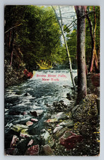 NY, Bronx River Falls, Nature Scene, Vintage Postcard picture