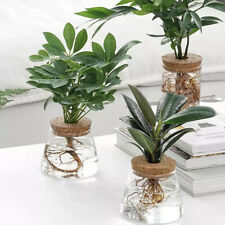 Transparent Hydroponic Flower Pot Imitation Glass Soilless Flower Pot Home Vase picture