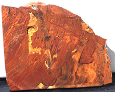 S285  ~   5.9oz Thick Slab Beers Mountain Biggs Scenic Jasper picture