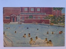 Swimming Pool University of Florida Campus, Gainesville, FL - Curteich picture