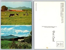 Northern Vermont Farm Cows Jay Peak Mountains Scenic Postcard Tom Emrich picture