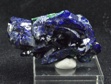 Azurite, Milpillas Mine, Mapimi, Sonora, Mexico 42x23mm picture