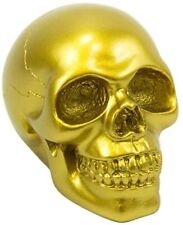 Ebros Pirate's Loot Graveyard Human Skull Head Statue 3.75