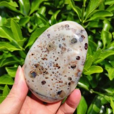 TOP 250G Natural Polished Aquatic Plants Agate Crystal Madagascar C202 picture