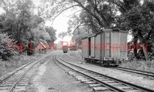 Sandy River & Rangeley Lakes Railroad Scene Phillips ME 7-1935 New 5x8 Photo picture