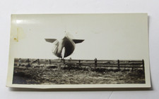 U. S. Navy USS Akron ZRS-4 Airship Aircraft Carrier Blimp Photograph 1931 ORG picture