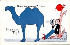 E. W. Kemble Comic Postcard 