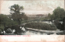 Postcard c1910 Owosso Michigan Mulberry St Bridge Shiawassee River White Horse picture