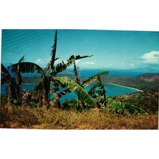 Vintage Magens Bay Hans Lollik Island St Thomas Virgin Islands Postcard Dormand picture