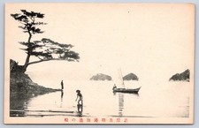 Antique Japan Postcard TOBA Harbor Pine Tree Shima 1910s picture