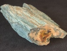 Beautiful Rare Green Bark Petrified Wood From Northeastern Arizona picture