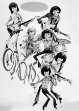 The Osmonds 1972 cartoon TV Donny Jimmy Alan etc cartoon drawn 12x18 Poster picture
