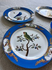 Rare Chelsea House Royal Blue Parrot Bird Botanical Display Plates 10” Set Of 6 picture