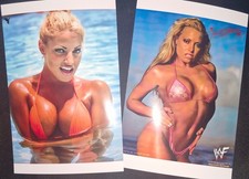 Trish Stratus HOT Bikini Photo Set Glossy 10x15cm picture