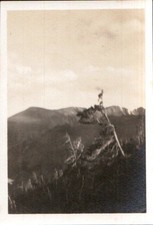 Vintage Antique Black & White Photograph Landscape Mountains Trees picture