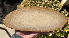 Fine Palm Petrified Wood Polished Round Slab - Flat Woods, Louisiana - 1.48 lbs picture