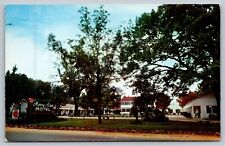 Albany GA-Georgia, Merry Acres Motel, Antique Vintage Postcard picture