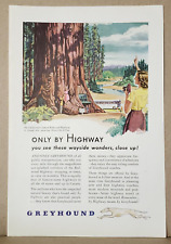 1946 Greyhound Print Ad  picture