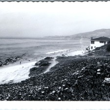 c1950s Laguna Beach CA Snapshot Photo Coastal House Seaside Hillside Flowers Vtg picture