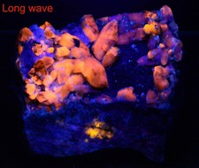 566 Gram Fluorescent Afghanite Crystals w/ Pyrite Wernerite Scapolite On Matrix picture