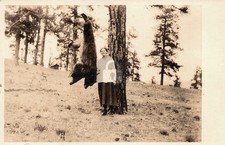 Hunting Fishing Bear Hunter Woman Vermejo Ranch Park NM RPPC Postcard COPY picture