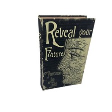 Fortune Teller psychic book safe Opens to store metaphysical supernatural oracle picture