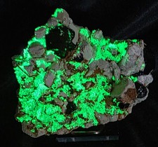 🔥 UV REACTIVE HYALITE OPAL + BLACK SCHORL TOURMALINE — ERONGO, NAMIBIA 🔥 picture