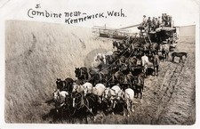 Kennewick Washington Combine Wheat Harvest WA RPPC Photo Postcard COPY picture