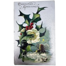 1909 Antique Vintage Christmas Greetings Holly Embossed Post Card Posted picture