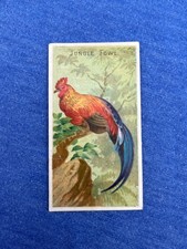 JUNGLE FOWL 1889 N5 Allen & Ginter Birds of the Tropics picture