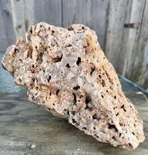 GORGEOUS* 9# Fossil Reef Rock~Pretty Druzy Sparkle~Unique Colorful Chalcedony picture