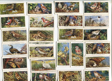 1937 JOHN PLAYER & SONS BIRDS AND THIER YOUNG 50 TOBACCO CARD SET picture