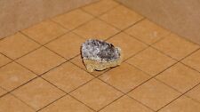 Hemimorphite on Limonite Small Crystals Weighing 0.4 oz Nice and Shiny Cluster picture